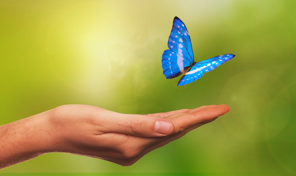 Reiki Master Training